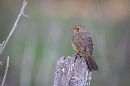 亚洲AV女电影网 亚洲AV女电影网