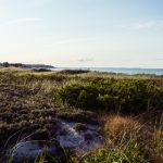 国产成人在线视频 sw0fhi6w