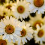 小草视频高清在线观看 w430uy5b9