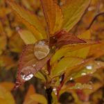 吾爱破解网站推荐:最全资源分享与使用指南,让你轻松破解各种软件 082cpcq2