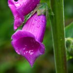 proumb 1080P:高清画质带来的极致观影体验与便捷使用指南 205x7