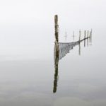 冉冉学姐豆社:分享学术经验与生活智慧的温暖社区 8juk6k