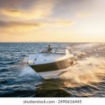 兔子先生:在奇幻森林中寻找失落的宝藏冒险之旅 9pfvw