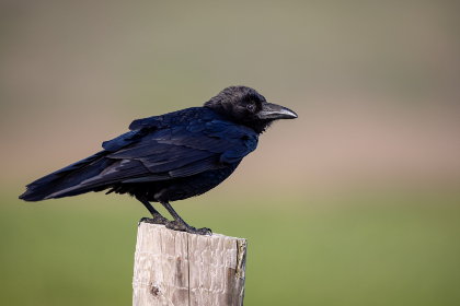四虎影库在线永久影院免费观看:畅享海量高清影视资源,尽情观影无忧 四虎影库在线永久影院免费观看:畅享海量高清影视资源,尽情观影无忧