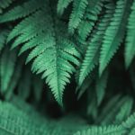 XXX Hentai XXX Comics:探索成人漫画的奇幻世界与无限创意 p4kbk