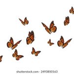 勃起薬 市販:如何选择适合自己的市售勃起药物与使用注意事项 rwi4a585u9