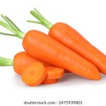 小宝影院:探索家庭娱乐新体验的最佳选择 z40xazu